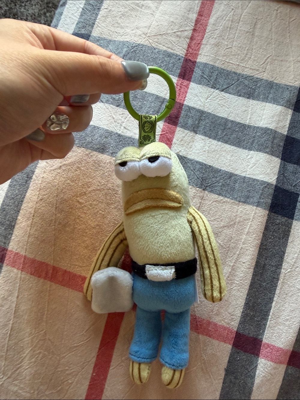 Plush Frog Keychain Accessory in Light Green and Blue - Unbranded